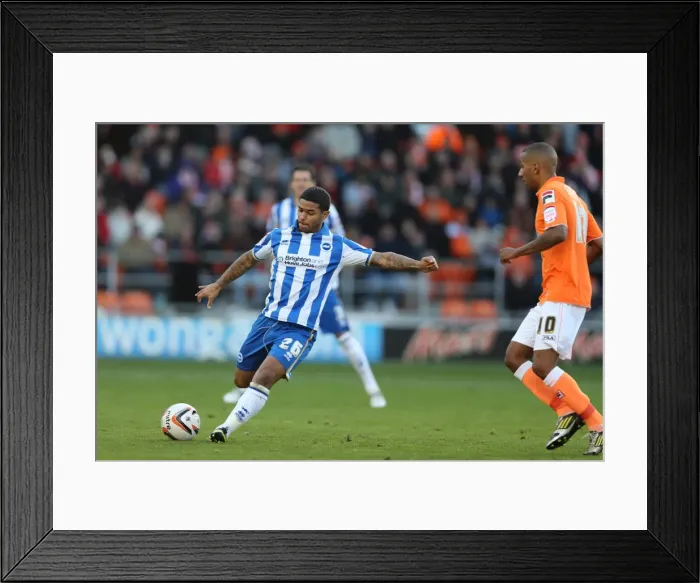 Framed Print : Brighton & Hove Albion Away at Blackpool (2012-13 Season): October 27, 2012 Framed Print : Brighton & Hove Albion Away at Blackpool (2012-13 Season): October 27, 2012