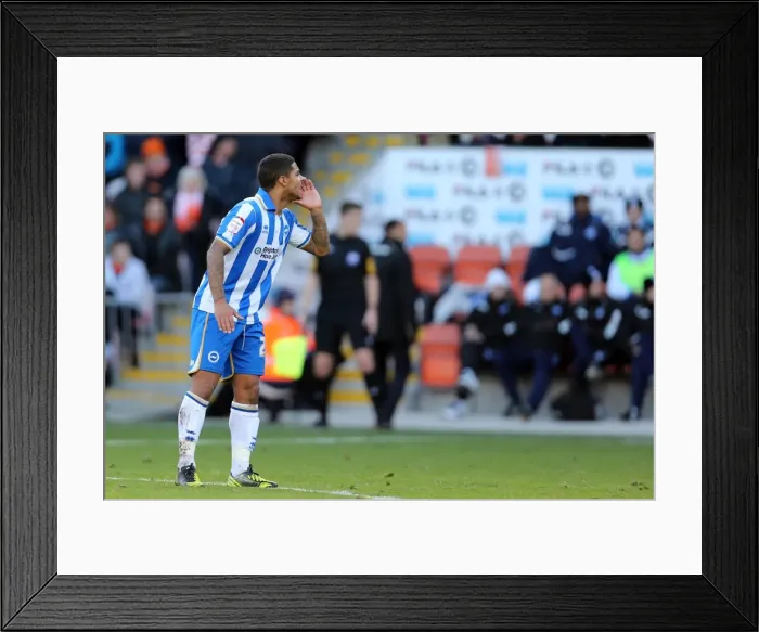 Framed Print : Brighton & Hove Albion vs. Blackpool: 2012-13 Away Game Framed Print : Brighton & Hove Albion vs. Blackpool: 2012-13 Away Game