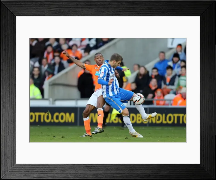 Framed Print : Orlandi in Action: Blackpool vs. Brighton & Hove Albion, 12-10-2012 Framed Print : Orlandi in Action: Blackpool vs. Brighton & Hove Albion, 12-10-2012