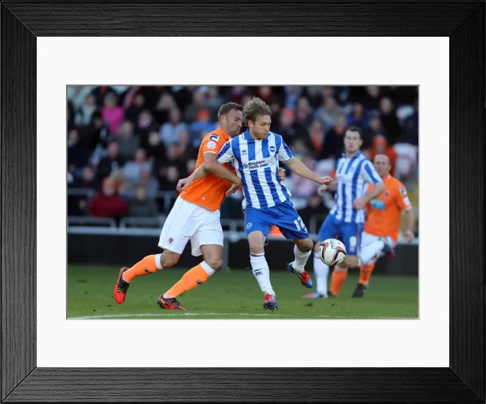 Framed Print : Craig Mackail-Smith Fights for Possession against Blackpool, Npower Championship, October 27, 2012 Framed Print : Craig Mackail-Smith Fights for Possession against Blackpool, Npower Championship, October 27, 2012
