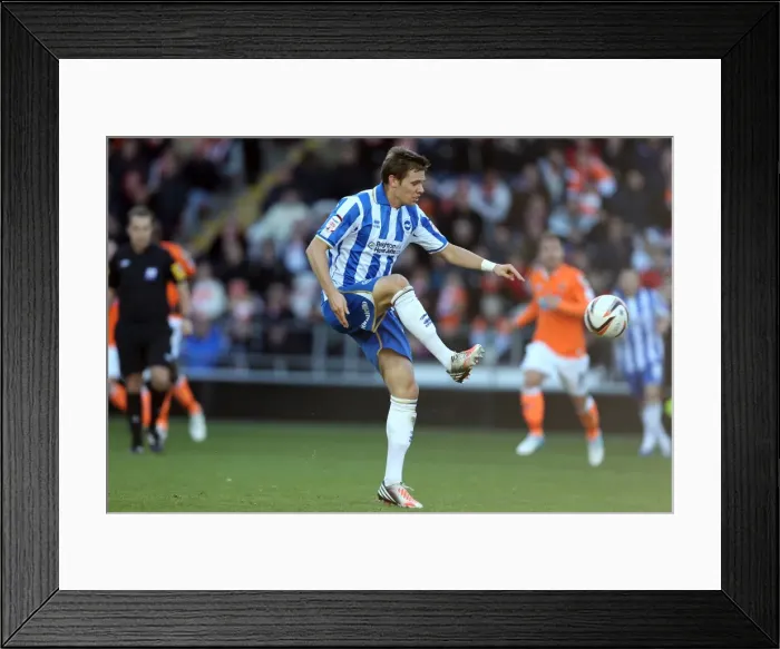 Framed Print : Dean Hammond of Brighton & Hove Albion in Action Against Blackpool, Npower Championship, October 27, 2012 Framed Print : Dean Hammond of Brighton & Hove Albion in Action Against Blackpool, Npower Championship, October 27, 2012