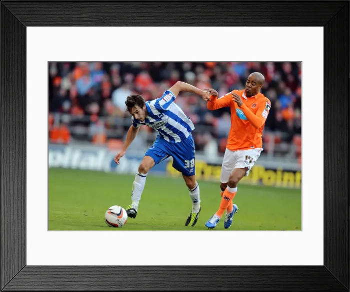 Framed Print : Brighton & Hove Albion's Will Buckley in Action against Blackpool, Npower Championship, October 2012 Framed Print : Brighton & Hove Albion's Will Buckley in Action against Blackpool, Npower Championship, October 2012