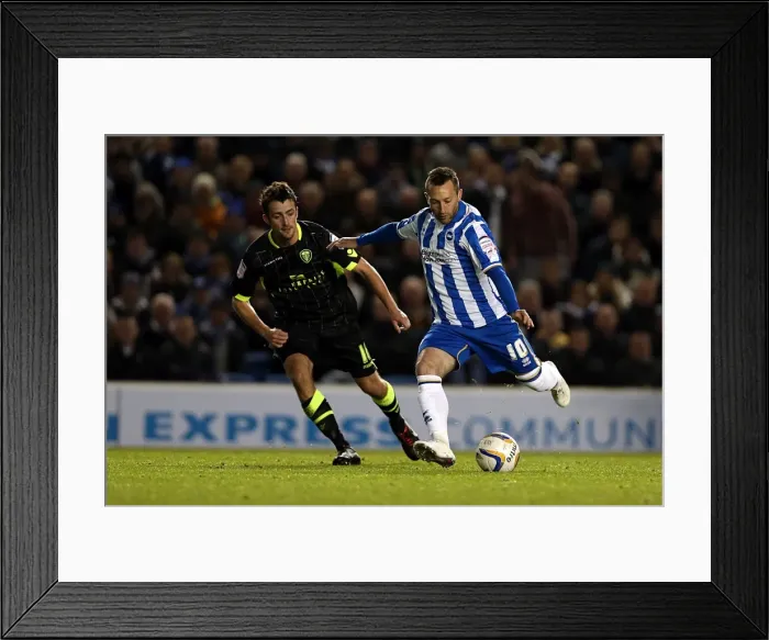 Framed Print : Stephen Dobbie's Shot: Brighton & Hove Albion vs Leeds United, Championship Clash at Amex Stadium (November 2, 2012) Framed Print : Stephen Dobbie's Shot: Brighton & Hove Albion vs Leeds United, Championship Clash at Amex Stadium (November 2, 2012)
