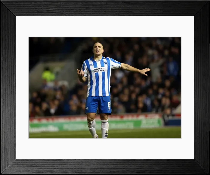 Framed Print : Adam El-Abd: Focused Leadership in Brighton & Hove Albion vs Leeds United, Npower Championship, Amex Stadium (November 2, 2012) Framed Print : Adam El-Abd: Focused Leadership in Brighton & Hove Albion vs Leeds United, Npower Championship, Amex Stadium (November 2, 2012)