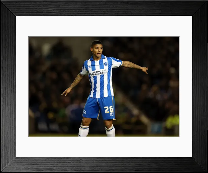 Framed Print : Brighton Leeds Utd 121102 Framed Print : Brighton Leeds Utd 121102