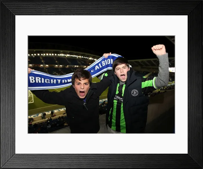 Framed Print : Brighton & Hove Albion: Electrifying Crowds at the Amex (2012-2013) Framed Print : Brighton & Hove Albion: Electrifying Crowds at the Amex (2012-2013)