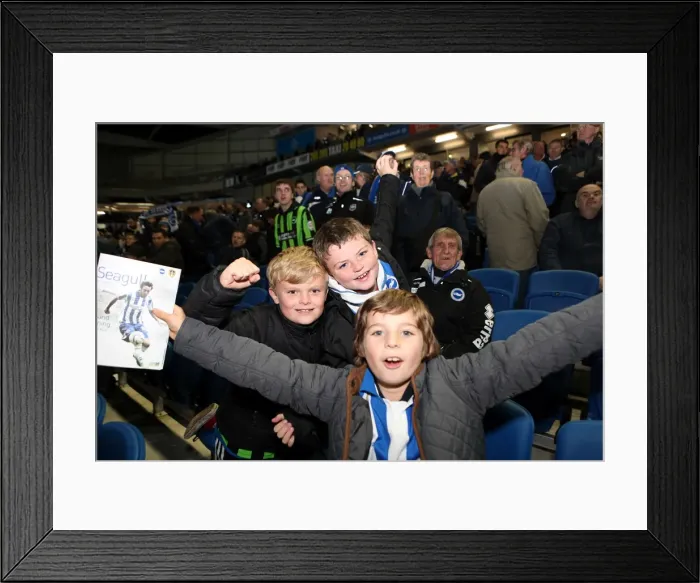 Framed Print : Brighton & Hove Albion: Electric Atmosphere at The Amex (2012-2013) Framed Print : Brighton & Hove Albion: Electric Atmosphere at The Amex (2012-2013)