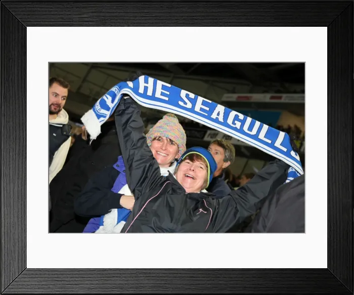 Framed Print : Brighton & Hove Albion FC: The Roaring Crowds of the Amex Stadium 2012-2013 Framed Print : Brighton & Hove Albion FC: The Roaring Crowds of the Amex Stadium 2012-2013