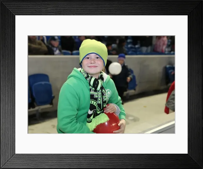 Framed Print : Brighton and Hove Albion: The Electric Amex Stadium Crowd (2012-2013) Framed Print : Brighton and Hove Albion: The Electric Amex Stadium Crowd (2012-2013)