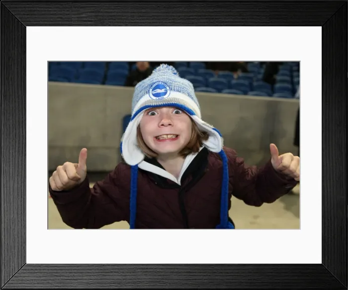 Framed Print : Brighton & Hove Albion FC: Electric Atmosphere at the Amex Stadium (2012-2013) Framed Print : Brighton & Hove Albion FC: Electric Atmosphere at the Amex Stadium (2012-2013)
