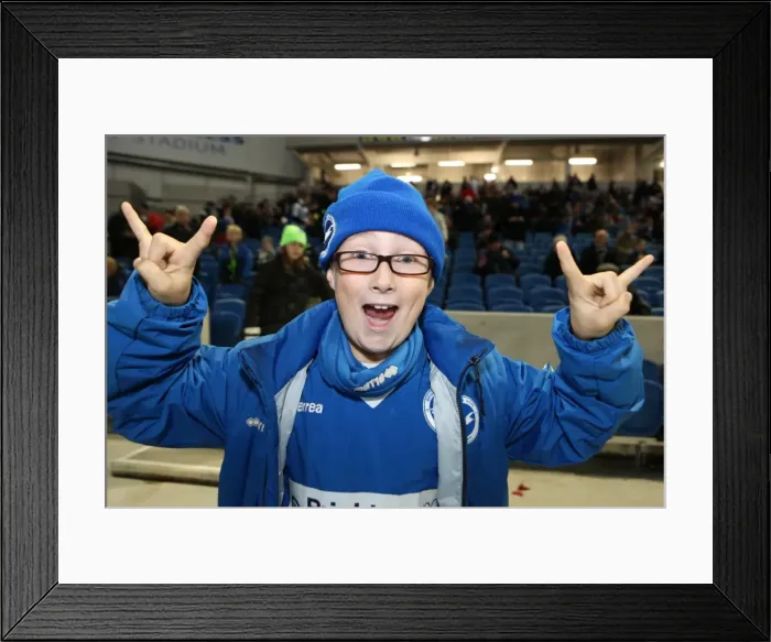 Framed Print : Brighton & Hove Albion FC: Electric Atmosphere at the Amex Stadium (2012-2013) Framed Print : Brighton & Hove Albion FC: Electric Atmosphere at the Amex Stadium (2012-2013)