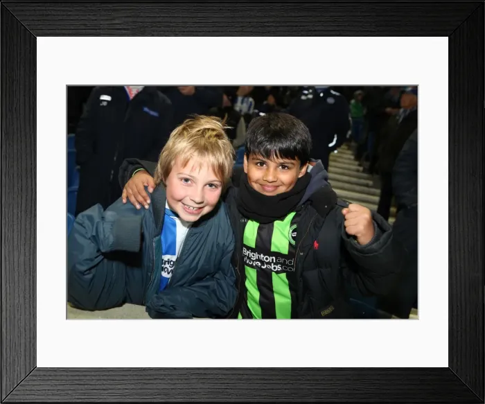 Framed Print : Brighton and Hove Albion: The Electric Amex Stadium Crowd (2012-2013) Framed Print : Brighton and Hove Albion: The Electric Amex Stadium Crowd (2012-2013)