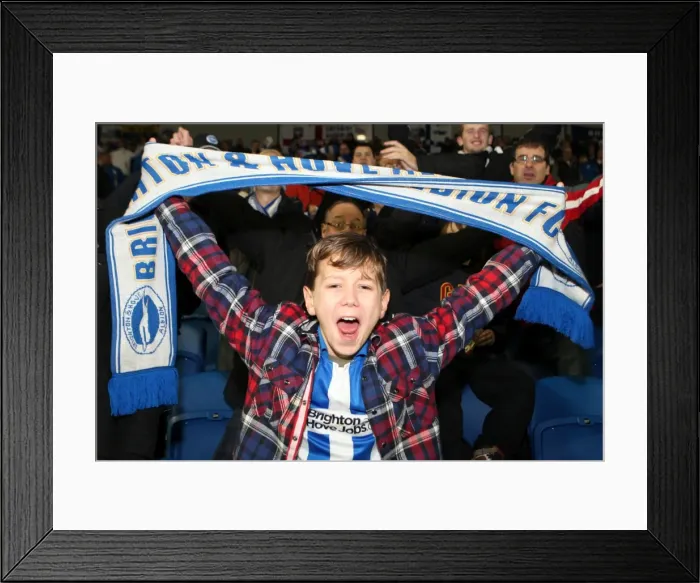 Framed Print : Brighton & Hove Albion: Electric Atmosphere - The Amex Stadium Crowd Shots (2012-2013) Framed Print : Brighton & Hove Albion: Electric Atmosphere - The Amex Stadium Crowd Shots (2012-2013)
