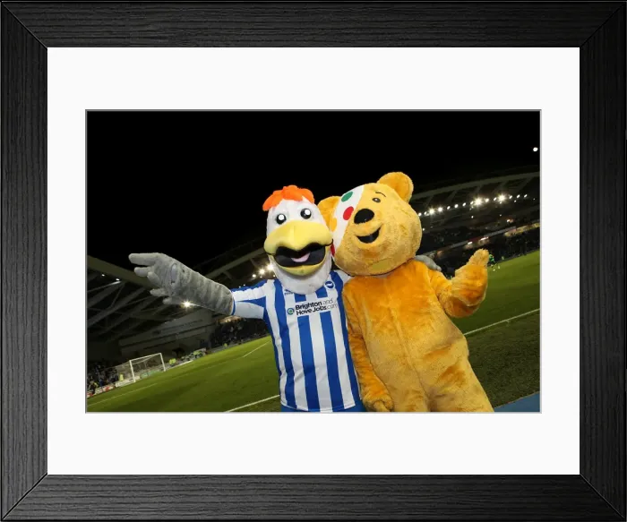 Framed Print : Brighton & Hove Albion vs. Leeds United (02-11-2012): A Look Back at the 2012-13 Home Season Game Framed Print : Brighton & Hove Albion vs. Leeds United (02-11-2012): A Look Back at the 2012-13 Home Season Game