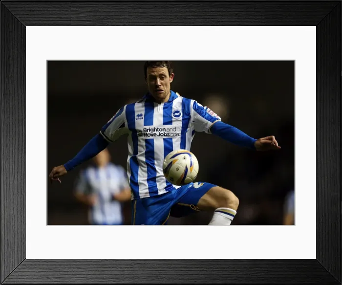 Framed Print : Brighton & Hove Albion vs. Leeds United (02-11-2012): A Glimpse into the 2012-13 Home Season
