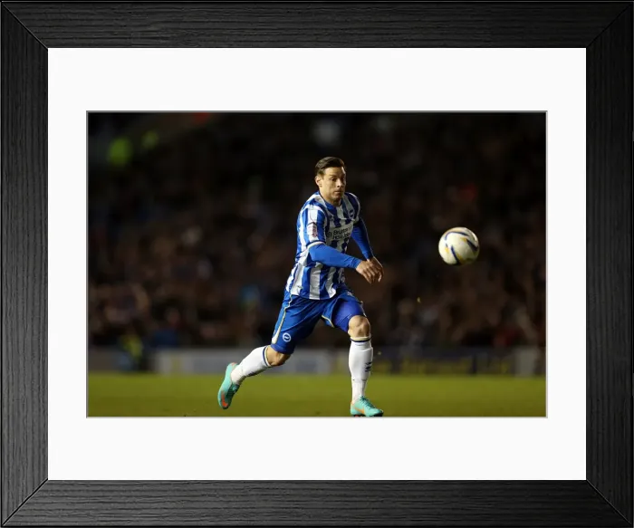 Framed Print : Hoskins Shines: Brighton & Hove Albion vs Peterborough United in Npower Championship (Nov 6, 2012) Framed Print : Hoskins Shines: Brighton & Hove Albion vs Peterborough United in Npower Championship (Nov 6, 2012)