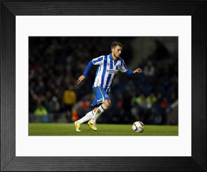 Framed Print : Brighton & Hove Albion vs. Peterborough United (06-11-2012): A Glimpse into the 2012-13 Home Season Framed Print : Brighton & Hove Albion vs. Peterborough United (06-11-2012): A Glimpse into the 2012-13 Home Season