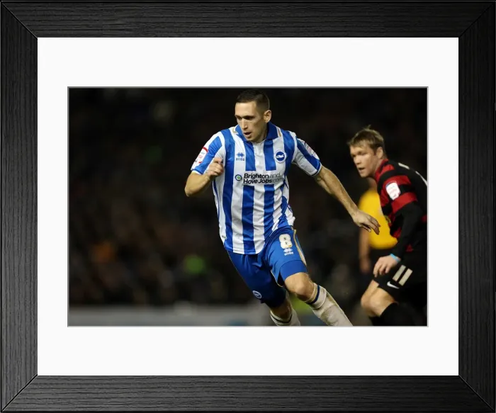 Framed Print : Brighton & Hove Albion vs. Peterborough United (06-11-2012): A Glimpse into the 2012-13 Home Season
