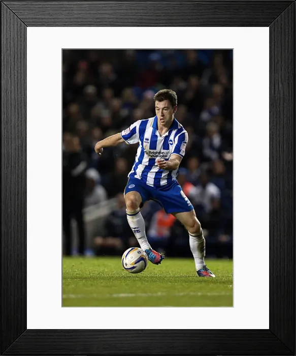 Framed Print : Brighton & Hove Albion vs. Peterborough United (06-11-2012): A Glimpse into the 2012-13 Home Season