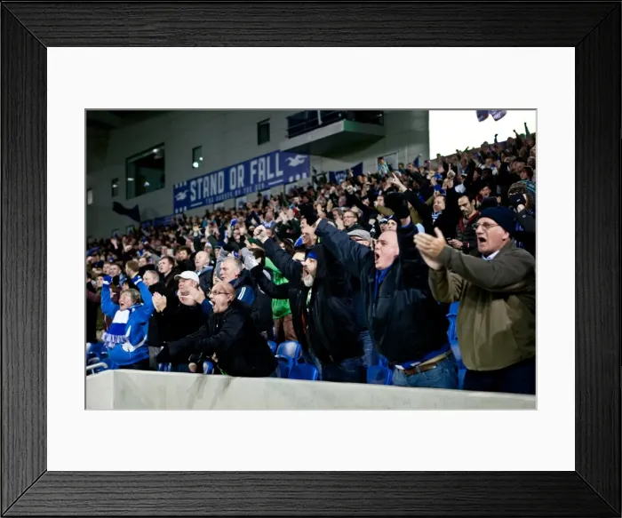 Framed Print : Brighton & Hove Albion vs. Peterborough United (06-11-2012): A Glimpse into the 2012-13 Home Season Framed Print : Brighton & Hove Albion vs. Peterborough United (06-11-2012): A Glimpse into the 2012-13 Home Season