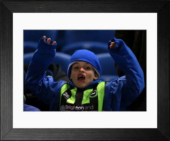 Framed Print : Brighton & Hove Albion vs. Peterborough United (06-11-2012): A Glimpse into the 2012-13 Home Season