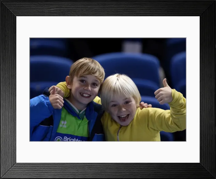 Framed Print : Brighton & Hove Albion: Electric Atmosphere - The Amex Stadium Crowd Shots (2012-2013) Framed Print : Brighton & Hove Albion: Electric Atmosphere - The Amex Stadium Crowd Shots (2012-2013)