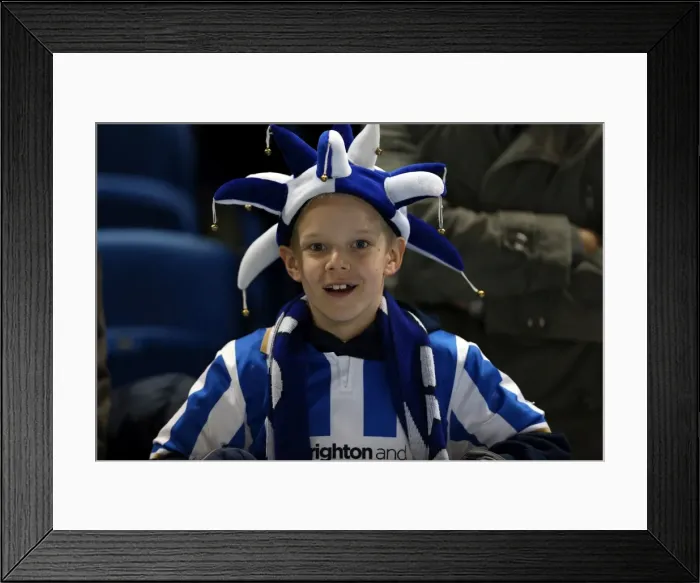 Framed Print : Brighton & Hove Albion FC: Electric Atmosphere at The Amex (2012-2013) Framed Print : Brighton & Hove Albion FC: Electric Atmosphere at The Amex (2012-2013)