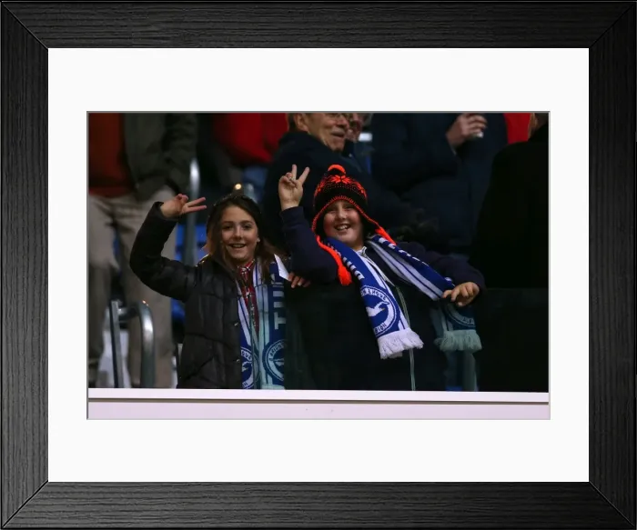 Framed Print : Brighton & Hove Albion vs. Peterborough United (06-11-2012): A Glimpse into the 2012-13 Home Season Framed Print : Brighton & Hove Albion vs. Peterborough United (06-11-2012): A Glimpse into the 2012-13 Home Season
