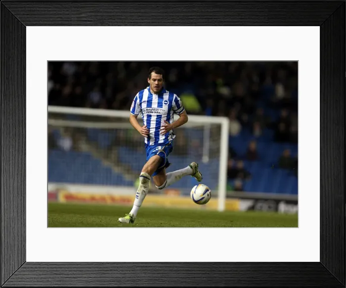 Framed Print : Brighton & Hove Albion vs. Peterborough United (06-11-2012): A Glimpse into the 2012-13 Home Season Framed Print : Brighton & Hove Albion vs. Peterborough United (06-11-2012): A Glimpse into the 2012-13 Home Season