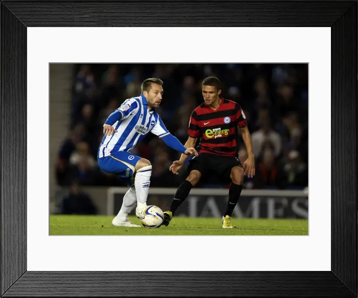 Framed Print : Brighton & Hove Albion vs. Peterborough United (06-11-2012): A Glimpse into the 2012-13 Home Season Framed Print : Brighton & Hove Albion vs. Peterborough United (06-11-2012): A Glimpse into the 2012-13 Home Season