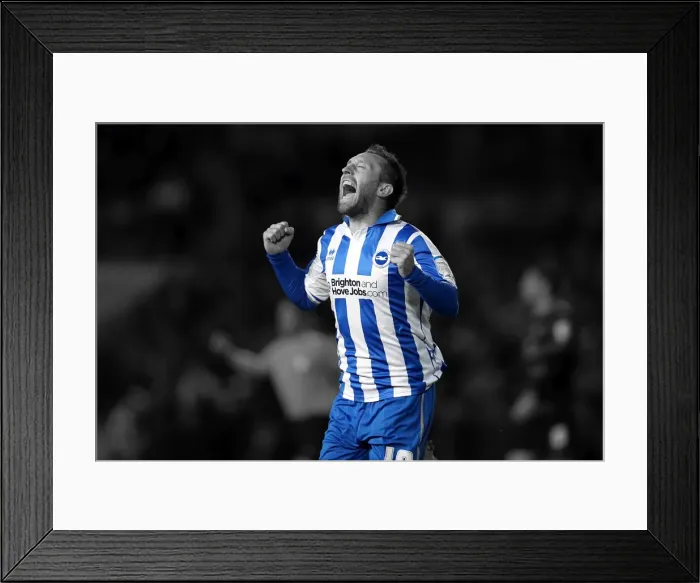 Framed Print : Brighton & Hove Albion vs. Peterborough United (06-11-2012): A Glimpse into the 2012-13 Home Season Framed Print : Brighton & Hove Albion vs. Peterborough United (06-11-2012): A Glimpse into the 2012-13 Home Season
