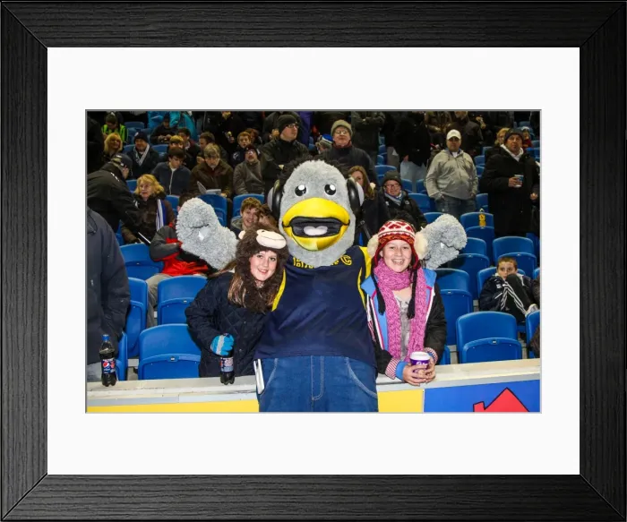 Framed Print : Brighton & Hove Albion vs. Peterborough United (06-11-2012): A Glimpse into the 2012-13 Home Season Framed Print : Brighton & Hove Albion vs. Peterborough United (06-11-2012): A Glimpse into the 2012-13 Home Season