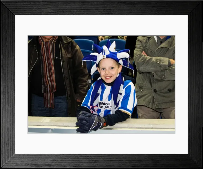Framed Print : Brighton & Hove Albion vs. Peterborough United (06-11-2012): A Glimpse into the 2012-13 Home Season Framed Print : Brighton & Hove Albion vs. Peterborough United (06-11-2012): A Glimpse into the 2012-13 Home Season