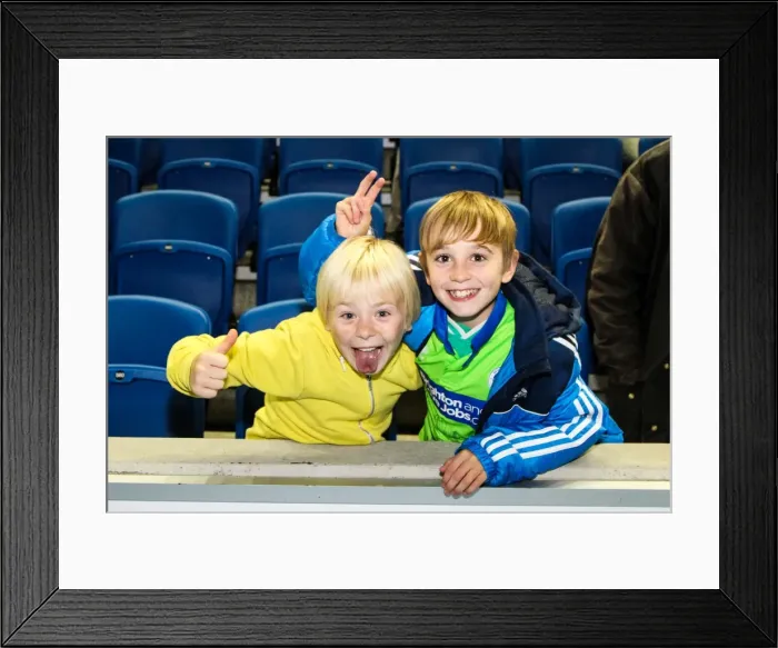 Framed Print : Brighton & Hove Albion vs. Peterborough United (06-11-2012): A Glimpse into the 2012-13 Home Season Framed Print : Brighton & Hove Albion vs. Peterborough United (06-11-2012): A Glimpse into the 2012-13 Home Season