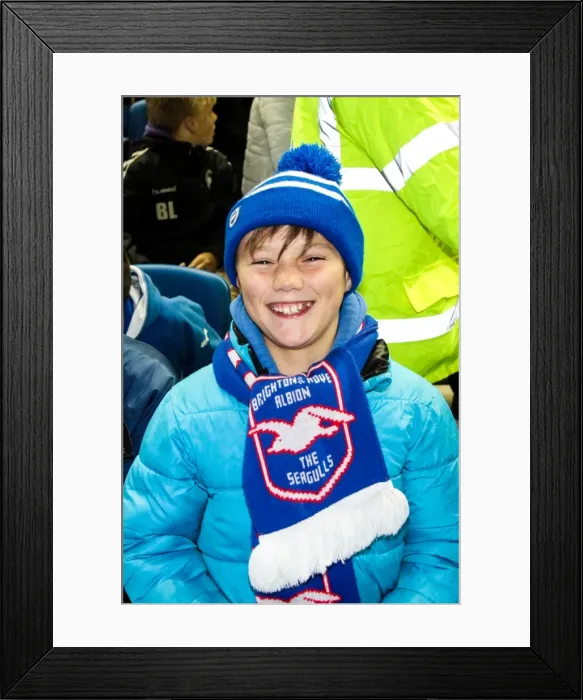 Framed Print : Brighton and Hove Albion: Unforgettable Crowd Moments at the Amex Stadium (2012-2013) Framed Print : Brighton and Hove Albion: Unforgettable Crowd Moments at the Amex Stadium (2012-2013)