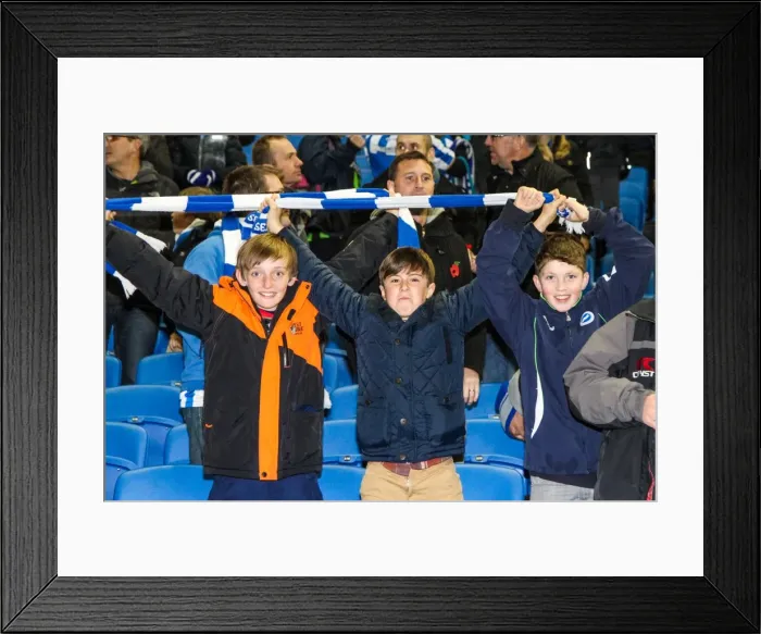 Framed Print : Brighton & Hove Albion vs. Peterborough United (06-11-2012): A Glimpse into the 2012-13 Home Season Framed Print : Brighton & Hove Albion vs. Peterborough United (06-11-2012): A Glimpse into the 2012-13 Home Season