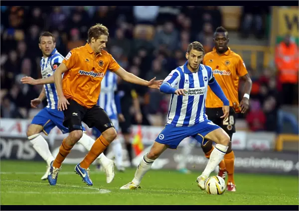 Andrea Orlandi in Action: Wolves vs. Brighton & Hove Albion, Championship Clash (November 10, 2012)