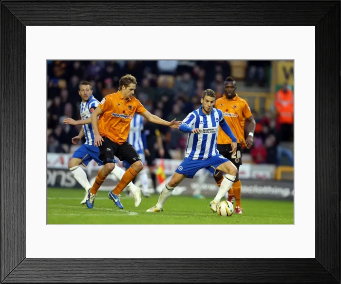Framed Print : Andrea Orlandi in Action: Wolves vs. Brighton & Hove Albion, Championship Clash (November 10, 2012) Framed Print : Andrea Orlandi in Action: Wolves vs. Brighton & Hove Albion, Championship Clash (November 10, 2012)