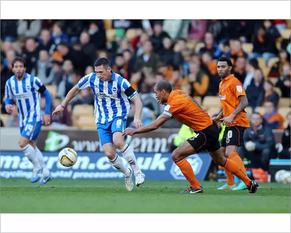 Brighton & Hove Albion vs. Wolverhampton Wanderers: Andrew Crofts in Action, Npower Championship, November 10, 2012