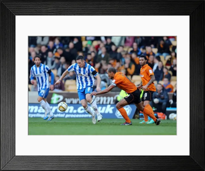 Framed Print : Brighton & Hove Albion vs. Wolverhampton Wanderers: Andrew Crofts in Action, Npower Championship, November 10, 2012 Framed Print : Brighton & Hove Albion vs. Wolverhampton Wanderers: Andrew Crofts in Action, Npower Championship, November 10, 2012