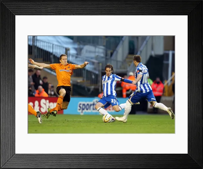 Framed Print : David Lopez Shoots in Npower Championship: Wolves vs. Brighton & Hove Albion (November 10, 2012) Framed Print : David Lopez Shoots in Npower Championship: Wolves vs. Brighton & Hove Albion (November 10, 2012)
