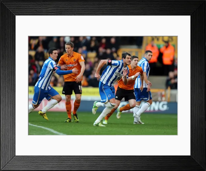Framed Print : Gordon Greer Charges For a Corner: Wolves vs. Brighton & Hove Albion, 10th November 2012 Framed Print : Gordon Greer Charges For a Corner: Wolves vs. Brighton & Hove Albion, 10th November 2012