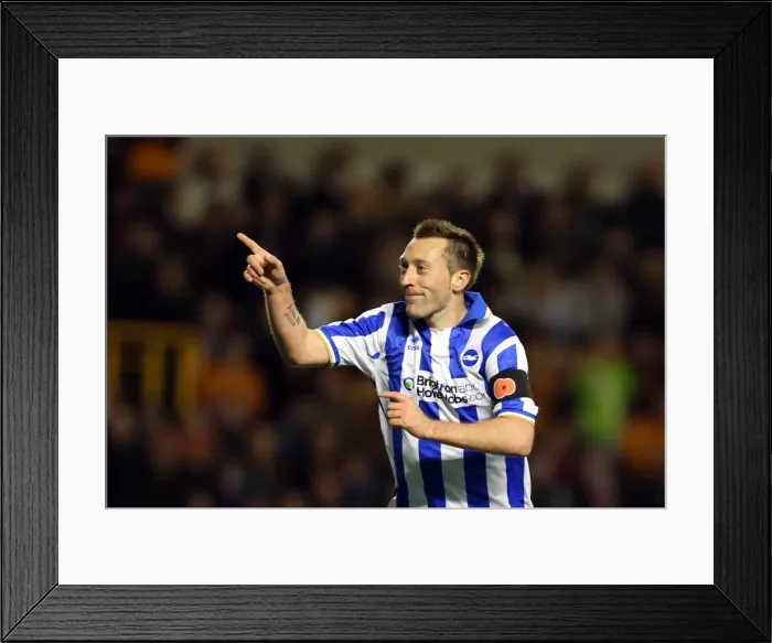 Framed Print : Stephen Dobbie's Goal: Brighton's Comeback Against Wolverhampton Wanderers in the Npower Championship (November 10, 2012) Framed Print : Stephen Dobbie's Goal: Brighton's Comeback Against Wolverhampton Wanderers in the Npower Championship (November 10, 2012)