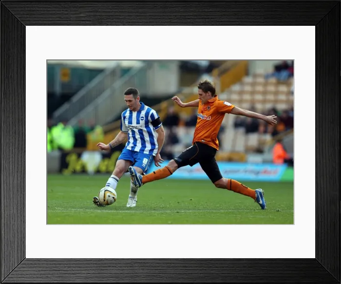 Framed Print : Andrew Crofts Releases Ball Amidst Pressure: Wolves vs. Brighton & Hove Albion, 10th November 2012 Framed Print : Andrew Crofts Releases Ball Amidst Pressure: Wolves vs. Brighton & Hove Albion, 10th November 2012