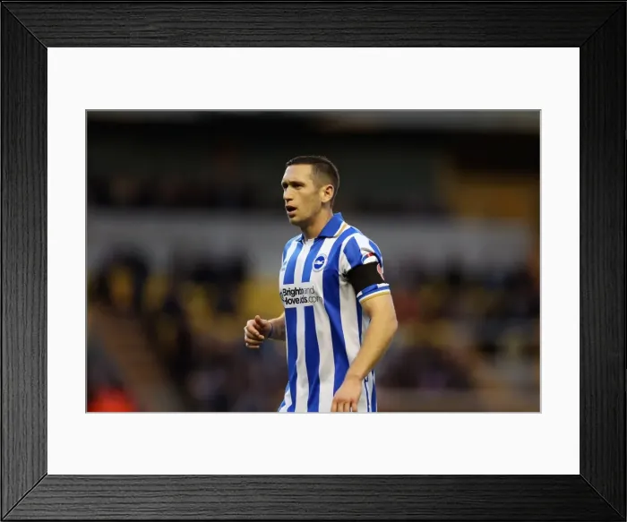Framed Print : Wolves Brighton 121110 Framed Print : Wolves Brighton 121110