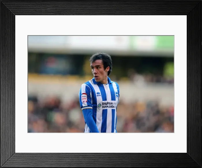 Framed Print : Wolves Brighton 121110 Framed Print : Wolves Brighton 121110