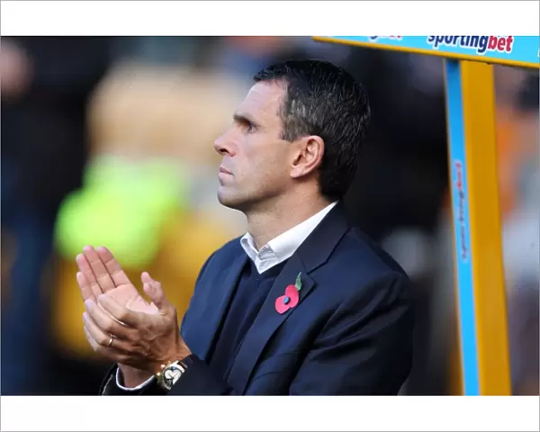 Gus Poyet Leads Brighton & Hove Albion in Championship Clash against Wolverhampton Wanderers (November 10, 2012)