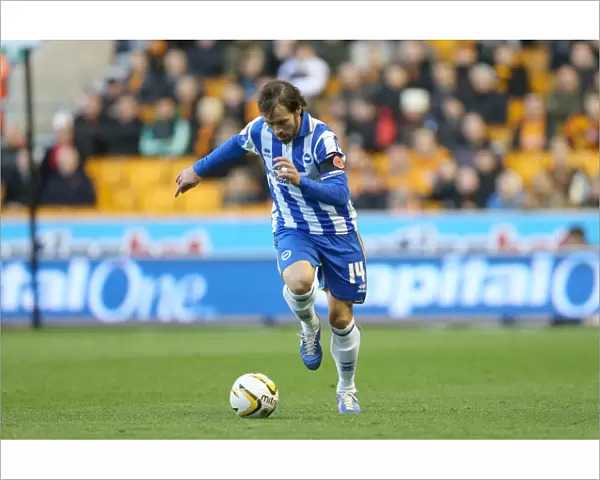 November 2012: Inigo Calderon in Action - Wolves vs. Brighton & Hove Albion, Championship Showdown