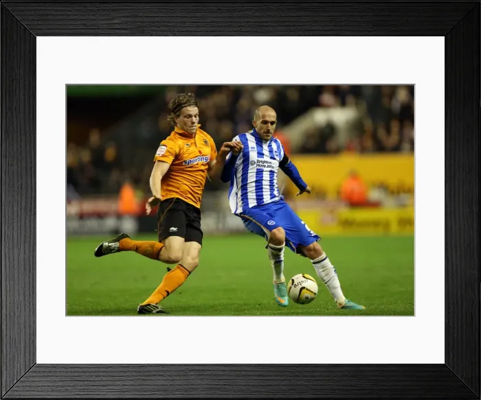 Framed Print : Brighton & Hove Albion vs. Wolves: 2012-13 Away Game