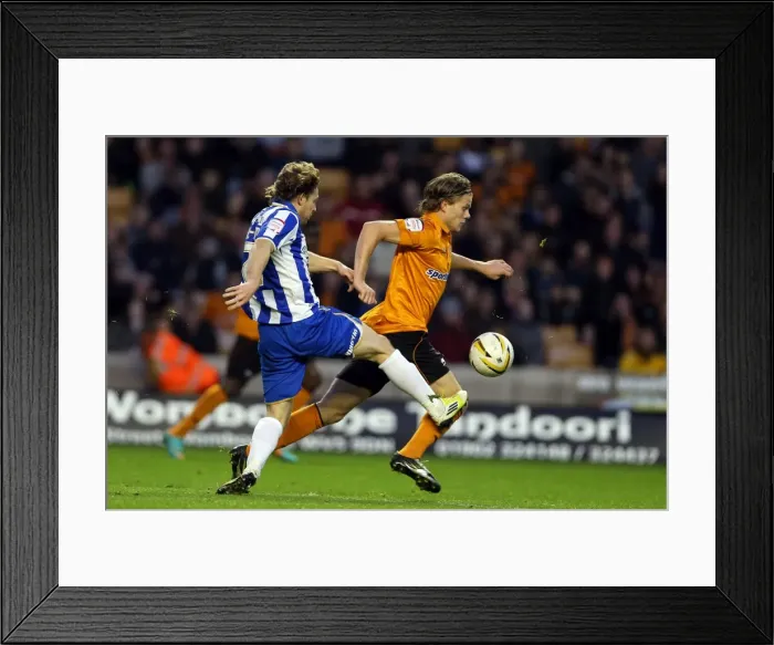 Framed Print : Brighton & Hove Albion vs. Wolves - 10-11-2012: Away Game in the 2012-13 Season Framed Print : Brighton & Hove Albion vs. Wolves - 10-11-2012: Away Game in the 2012-13 Season